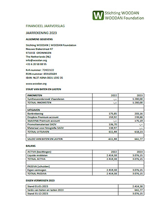 Financial Annual Report thumbnail
